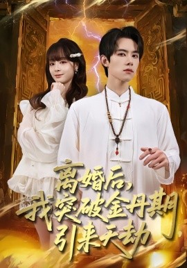 离婚后，我突破金丹期，引来天劫